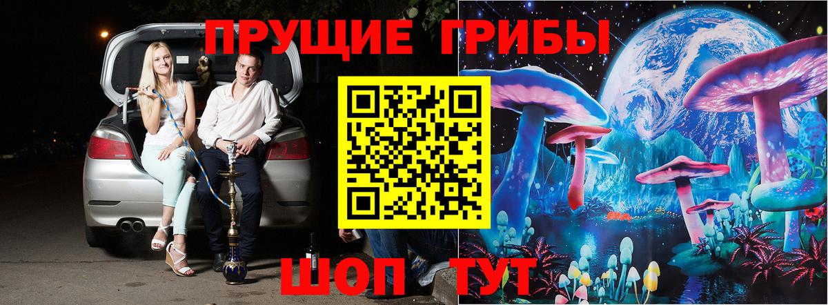 Новочеркасск  Псилоцибиновые грибы прущие грибы  как найти закладки  Галлюциногенные грибы Magic Shrooms  Вход с VPN 